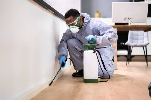 Best Pest Prevention Services  in Albion, NY